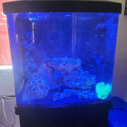 32 Gallon Aquarium Tank with Stand
