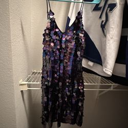 Small, Sequined Dress