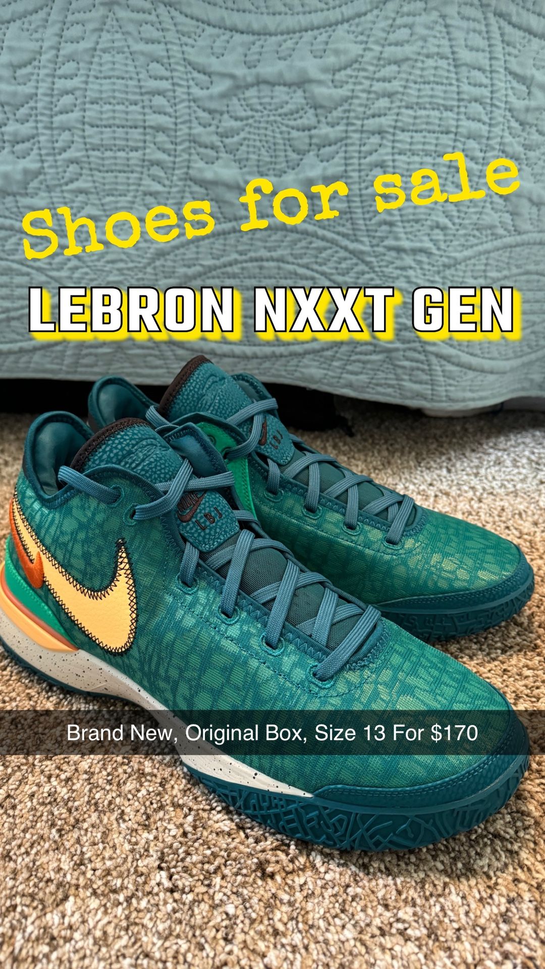 Brand New LeBron NXXT Gen Shoes