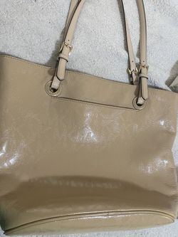 Purse (Micheal Kors)