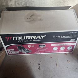 Gas Push Mower 
