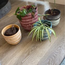 Ceramic Pots