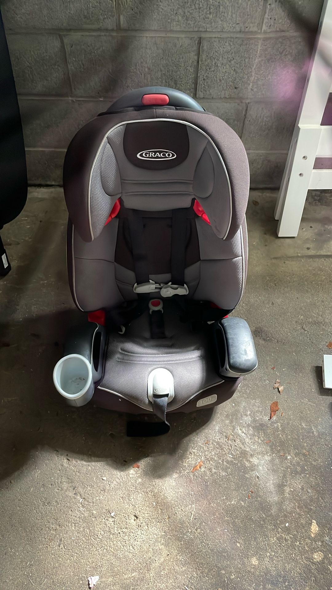 Cat Seat