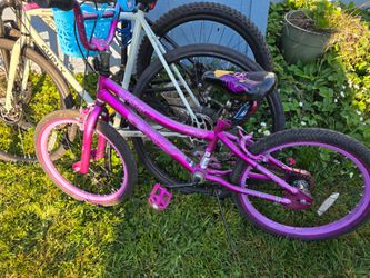 20 inch girls bike