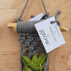 Great macrame with succulent gift for teacher appreciation end of year