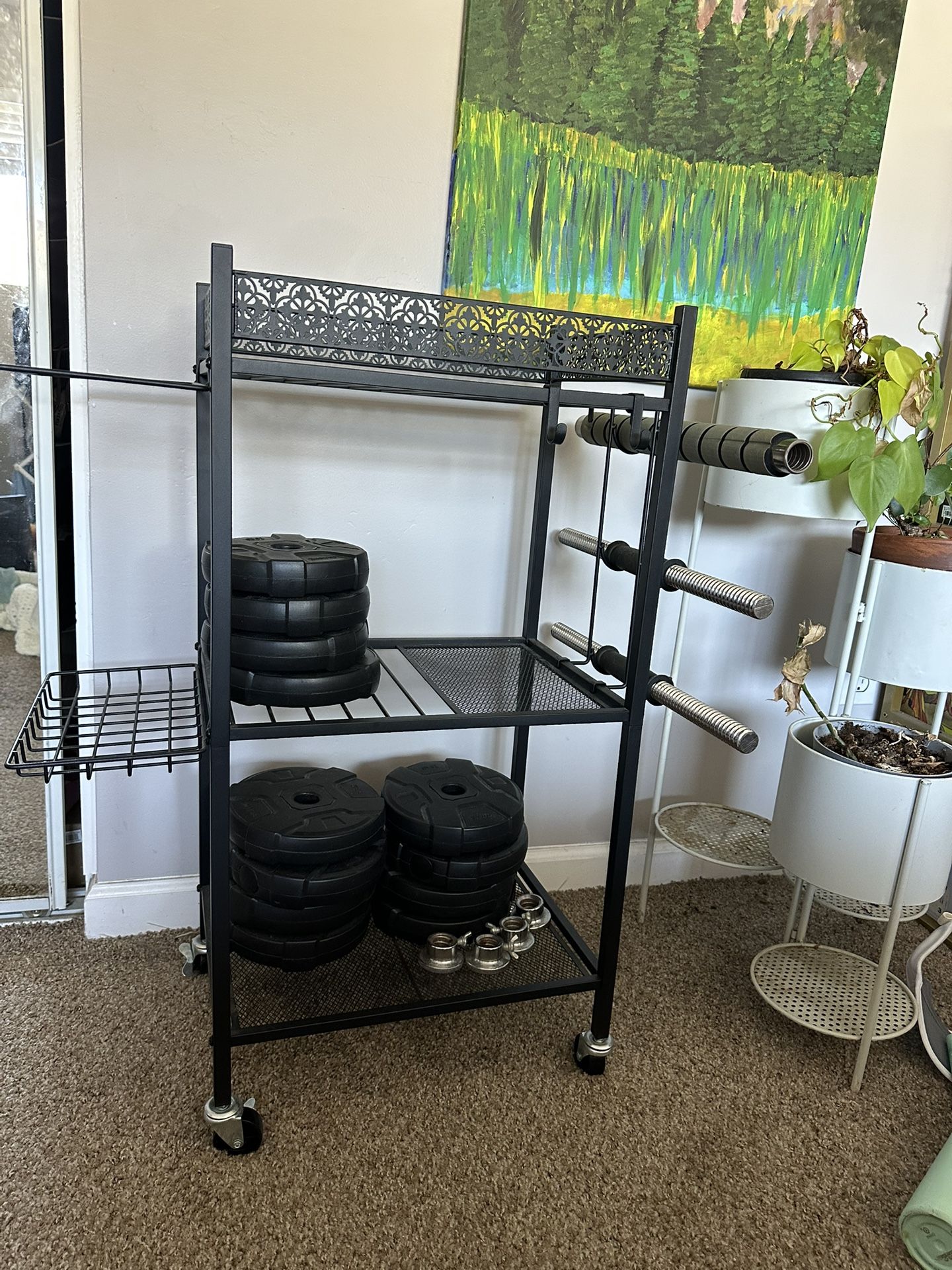 Adjustable Dumbbell And Barbell Set With Stand, Up To 100 Lbs