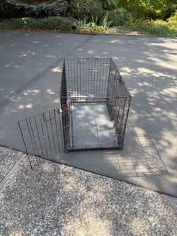 Foldable Dog Crate