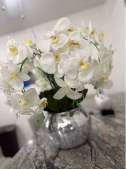 Elegant White Orchid Arrangement – Like New 🌸
