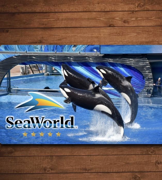 SEAWORLD SAN DIEGO DAY 🎟️
