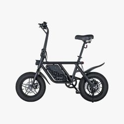 Electric Bike 