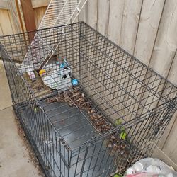 Animal Cage
