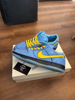 Nike sb dunk bubbles Sz 10