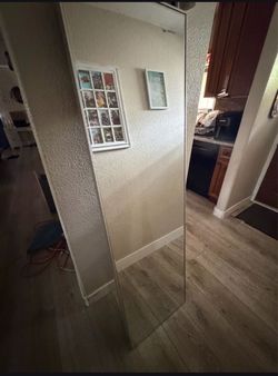 Body mirror