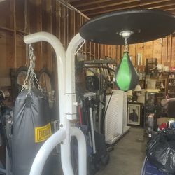 Everlast Powerball combo