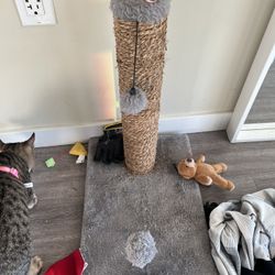 Cat Scratching Toys