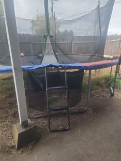 Free trampoline you haul today