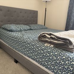 Wayfair Drusila Upholstered Queen Bed W/ Steel Box Frame 