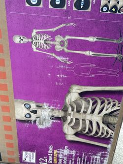 NEW IN THE BOX 12 Foot Skeleton