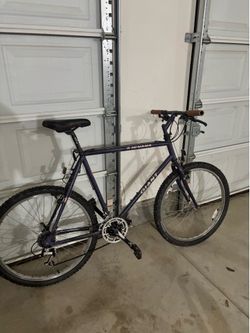 giant laguna bike vintage