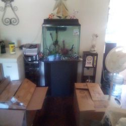 30 Gallon aquarium Complete Setup Plus Stand