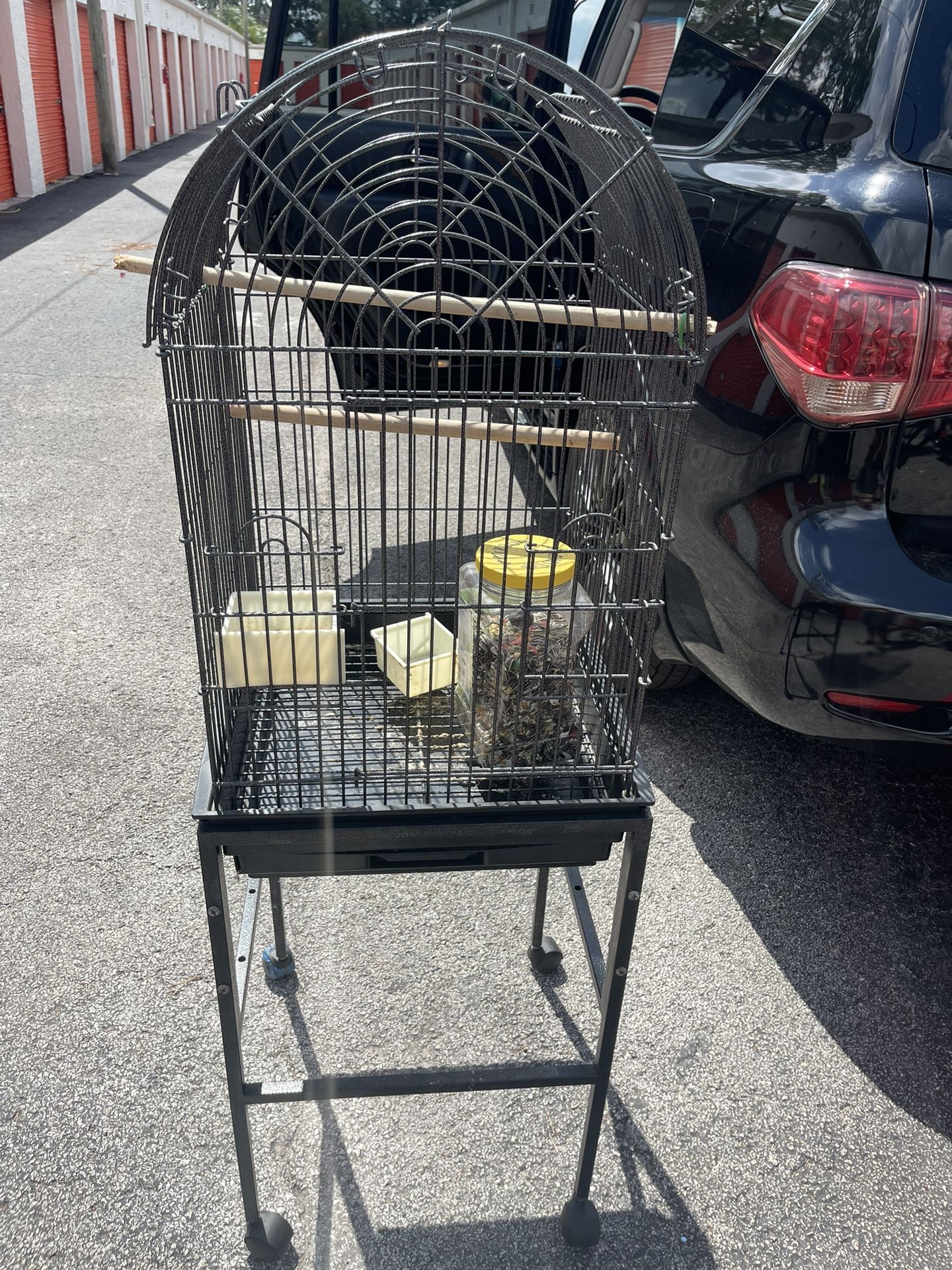 Bird Cage Medium