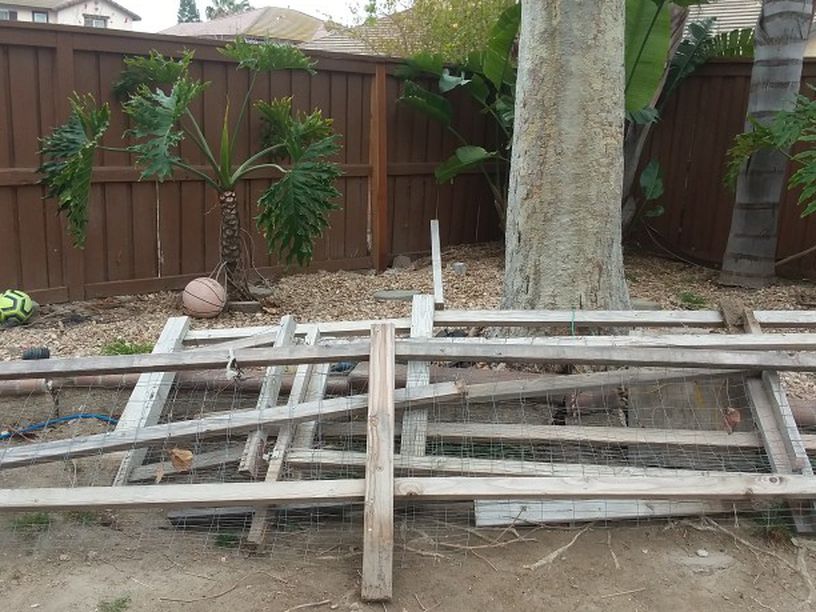 Free Fence For a Garden