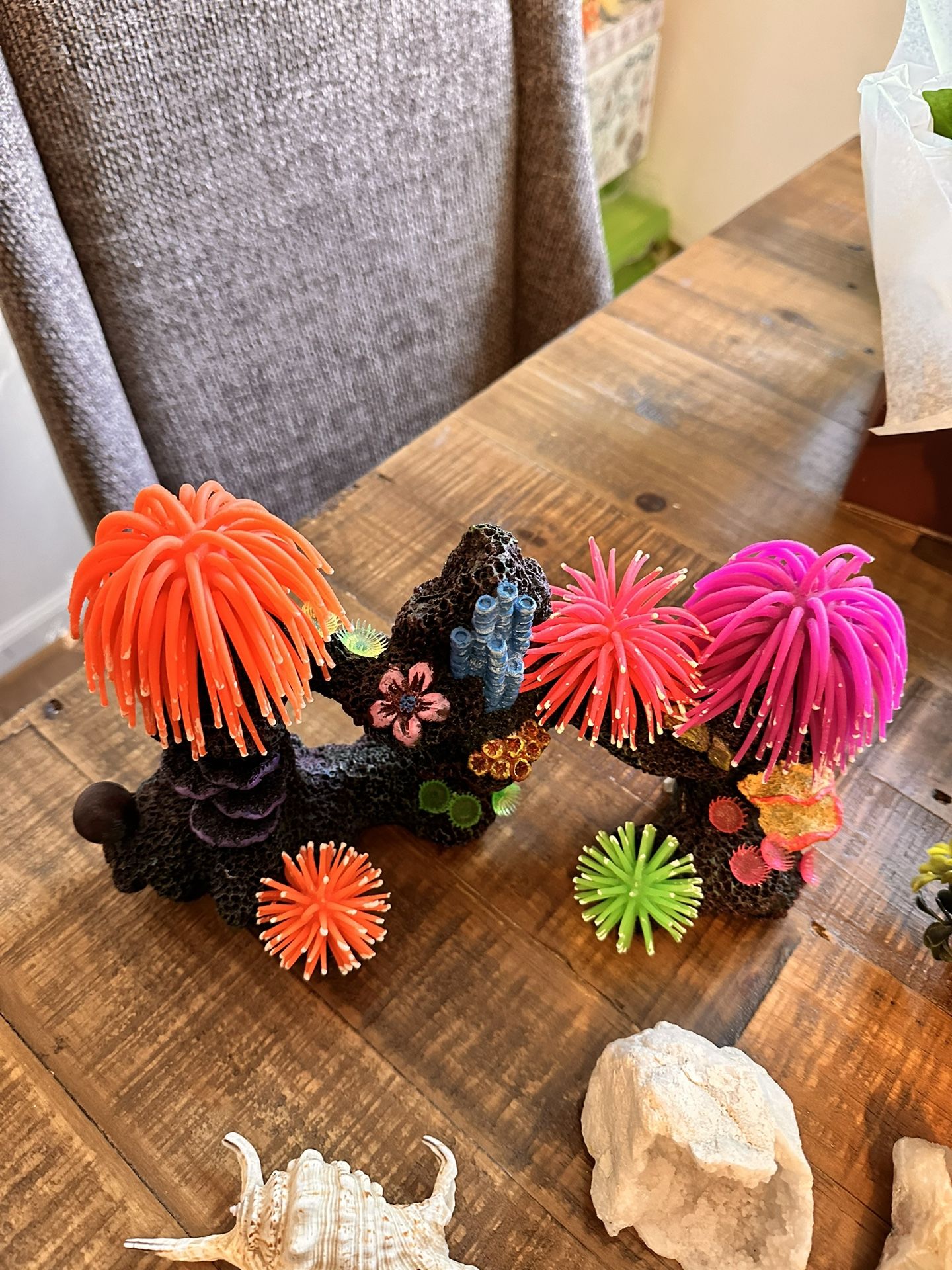 Various Aquarium Pieces