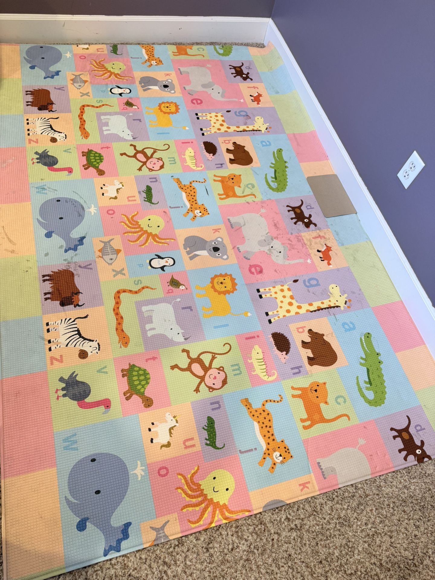 Free Toys, Mat, Storage Shelve And Misc Items