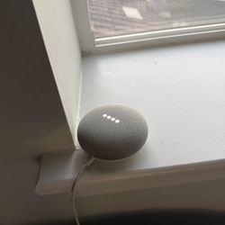 Google Home 