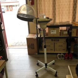 Hair Steamer Professional
