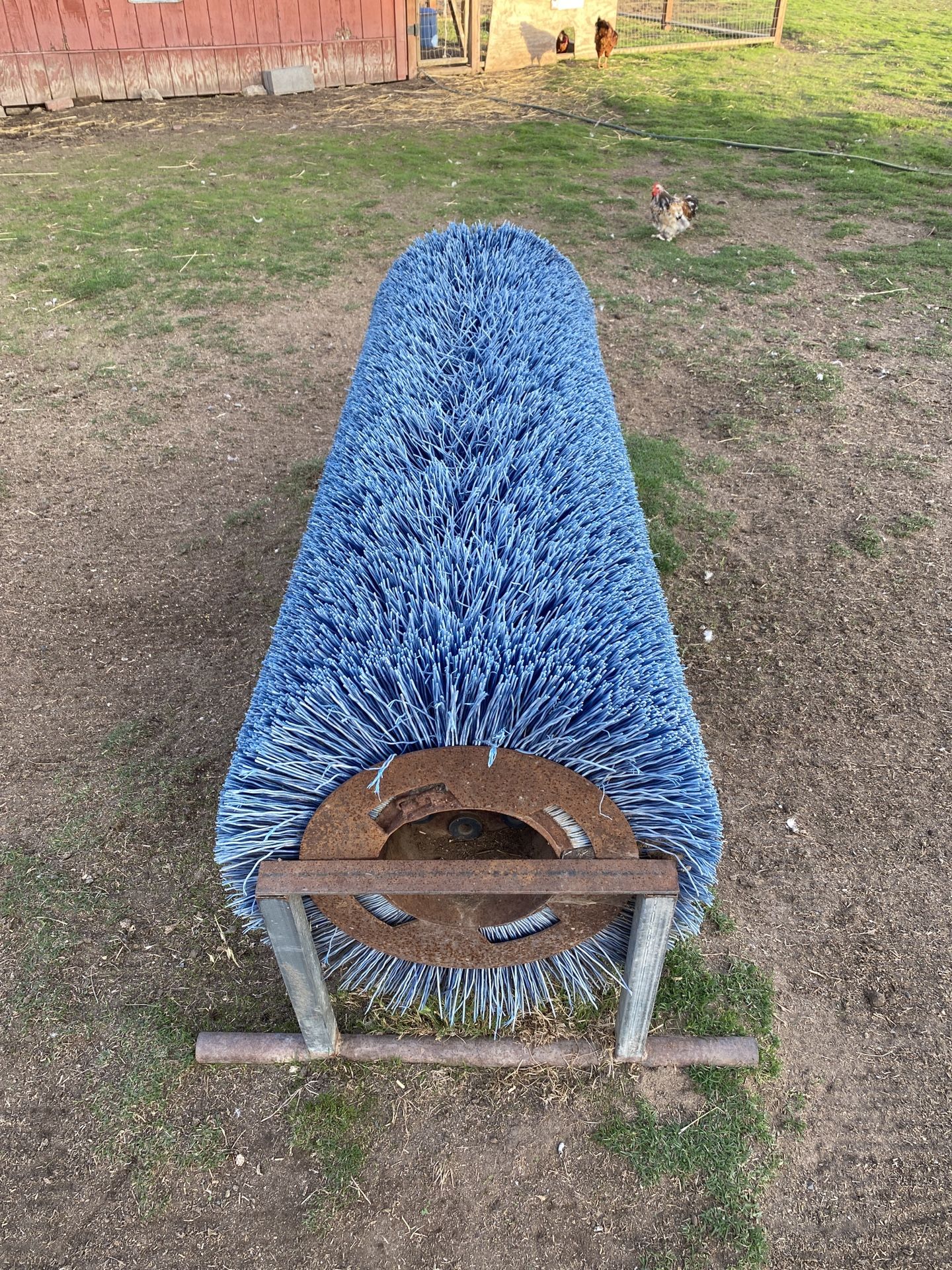 Animal Scratching “thing”