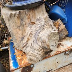 Tree stump.