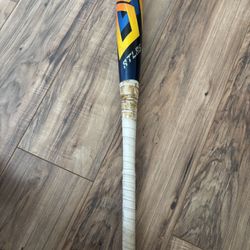 Baseball Bat