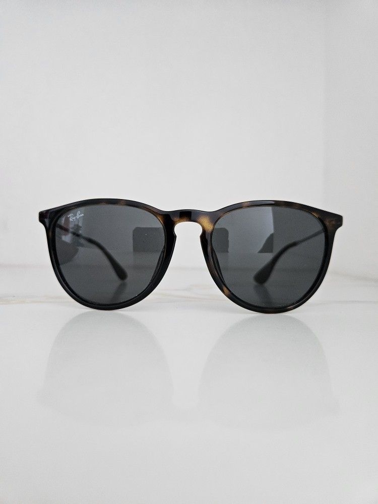 Rayban Erika Sunglasses