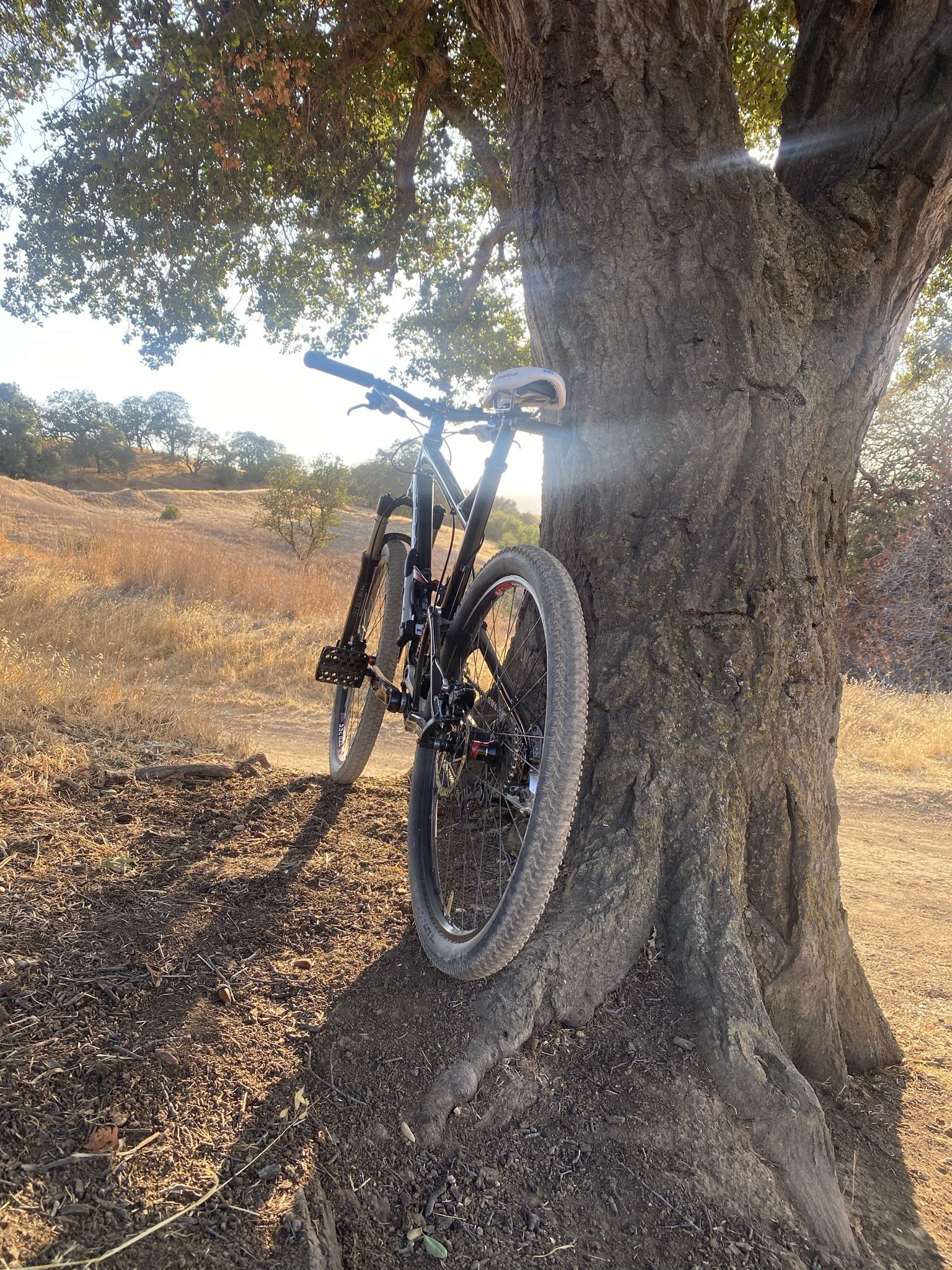 Mountain Bike Giant Trance