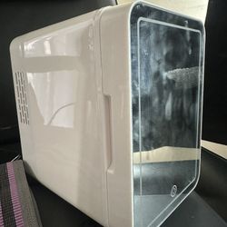 Mini Esthetics Fridge 