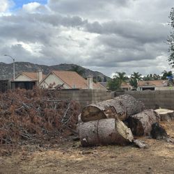 Free Big Chunks Of Wood Carry With Cart And Cut With Chain Saw For Easy Move 