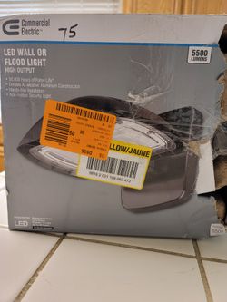  LED Wall or Flood Light