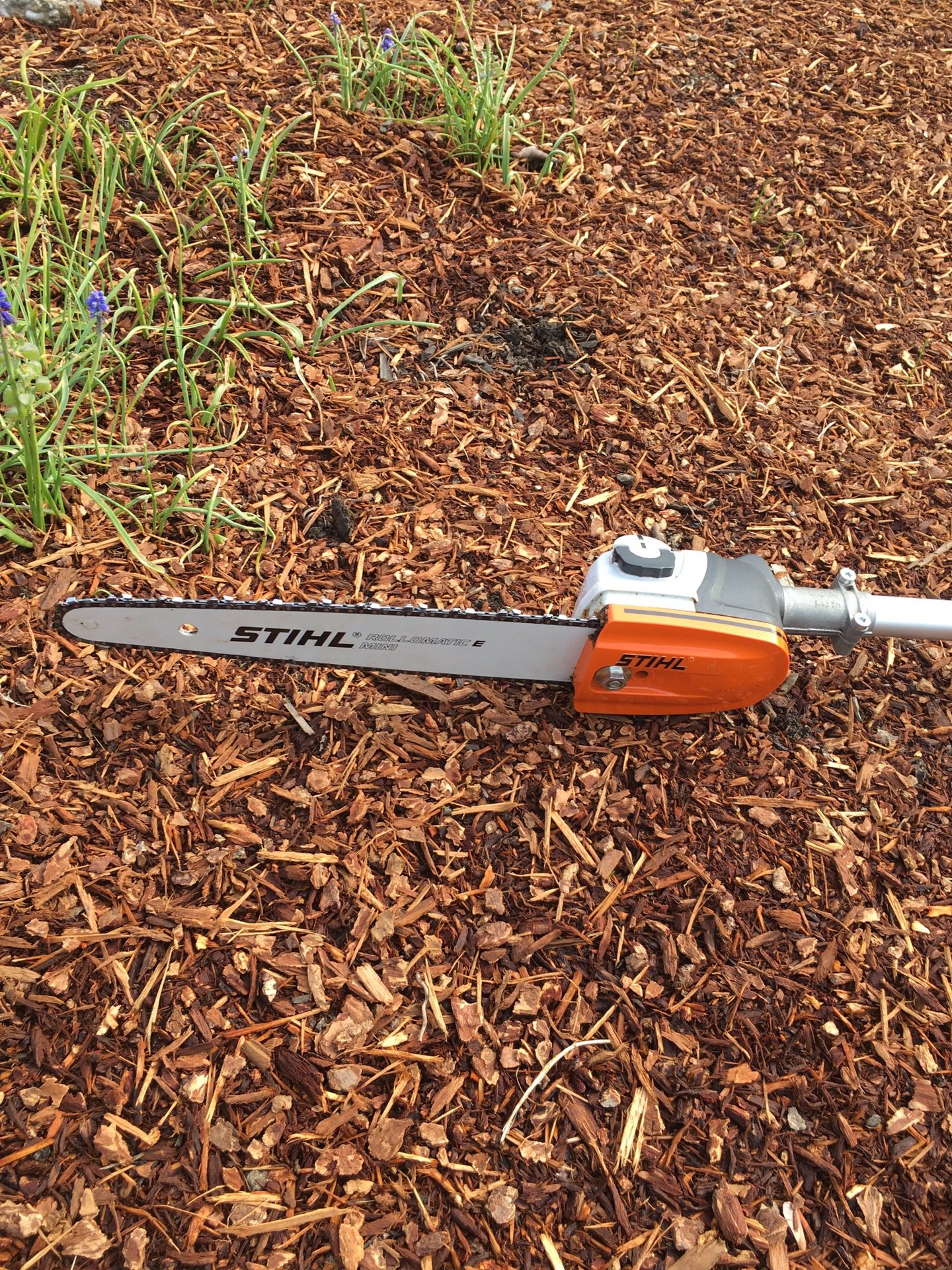 Stihl pole saw