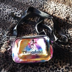 Disneyland Resort Handbag