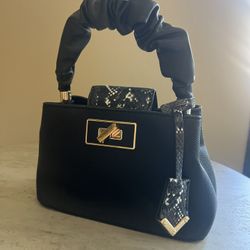 Aldo Black Purse 