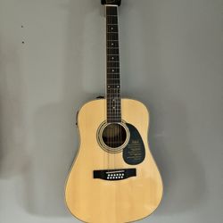 12 Acoustic electric guitar