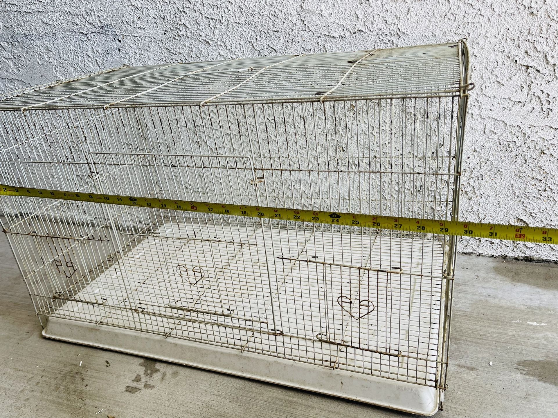 Bird Cage