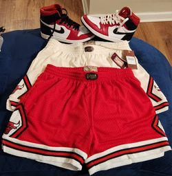 Chicago Bulls Bball Shorts