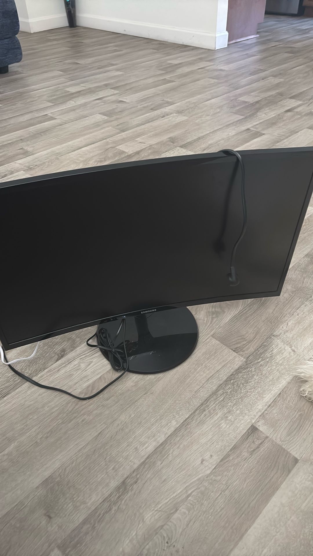 Computer Screen / Monitor 