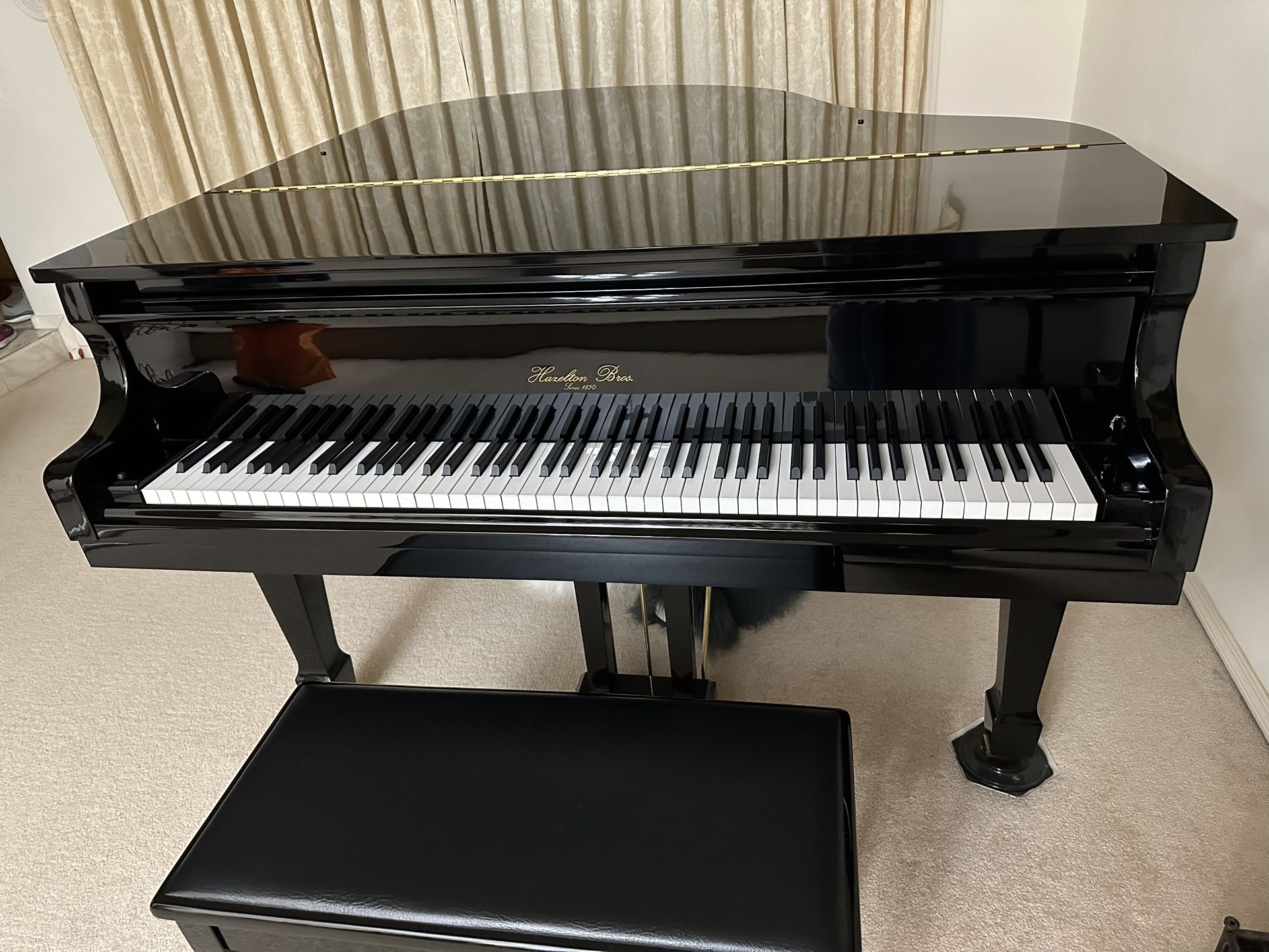 Mini Grand Piano - Pretty New Condition - Only $8000