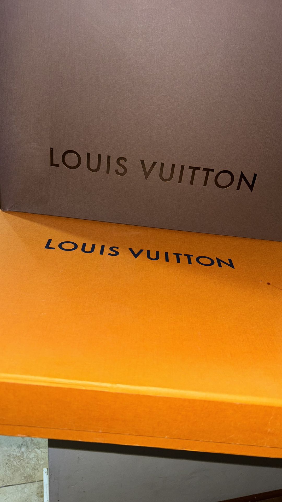 Louis Vuitton Bags And Box 