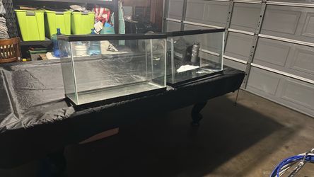 20 gallo fish tanks