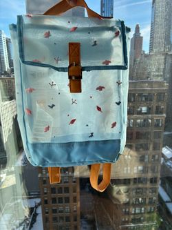 Disney | Blue Frozen theme mesh backpack Adults Kids Toddler