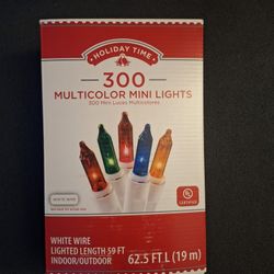 Multicolor Mini Lights